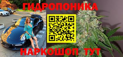 a pvp Будённовск