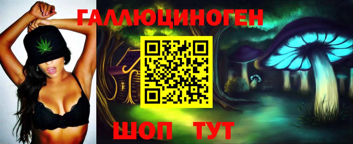 Псилоцибиновые грибы Psilocybine cubensis  Вход с VPN  Менделеевск 